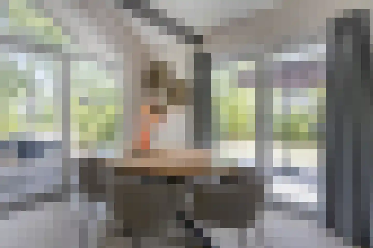 Bloemendaal 7 C 36 Oirschot thumbnail 14