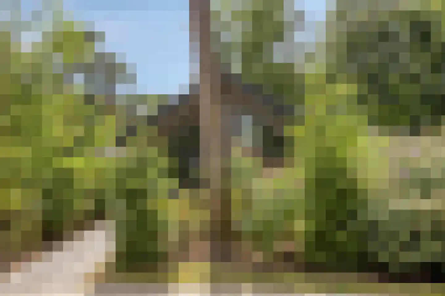 Bloemendaal 7 C 36 Oirschot thumbnail 24