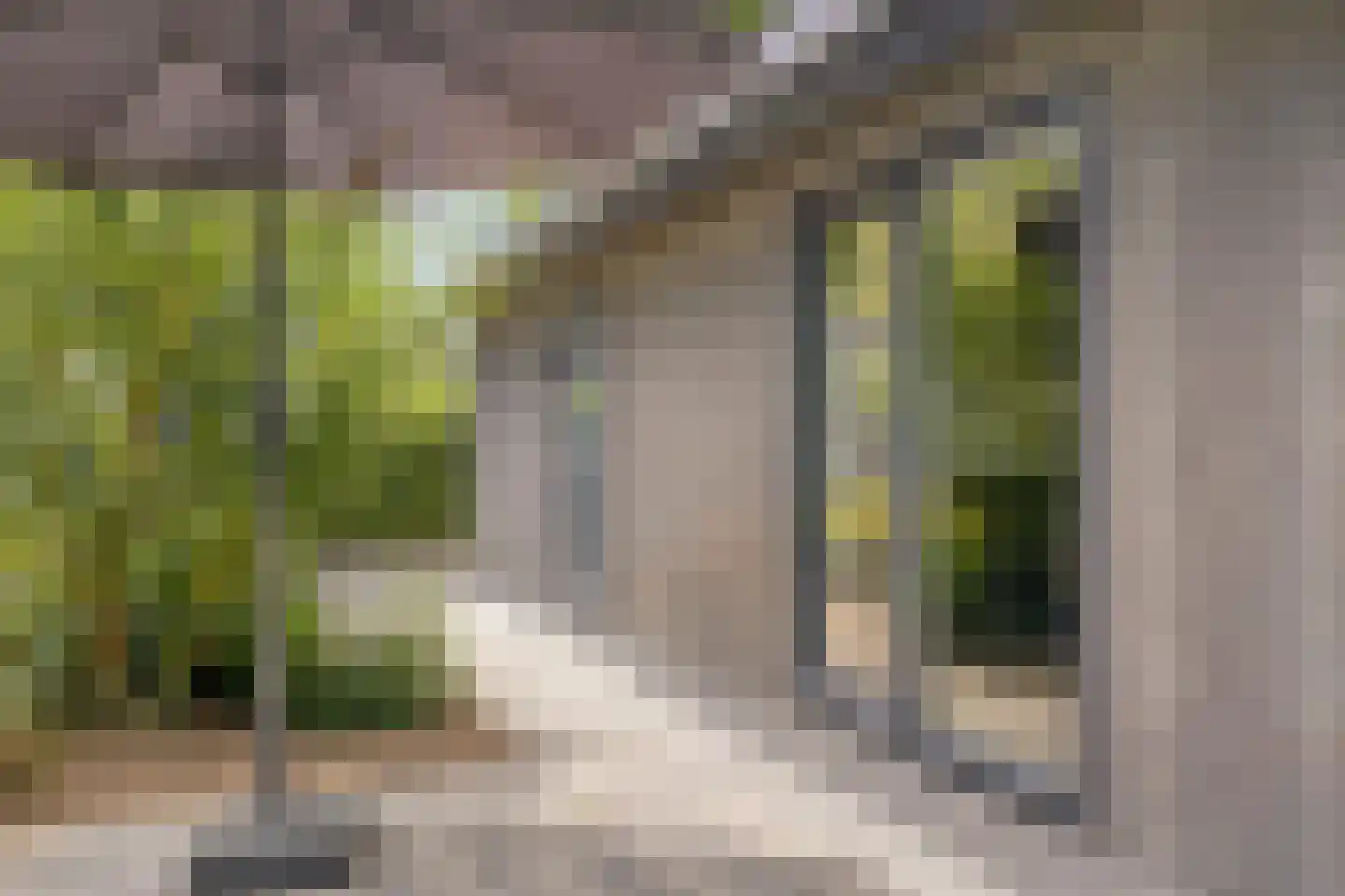 Bloemendaal 7 C 36 Oirschot thumbnail 25