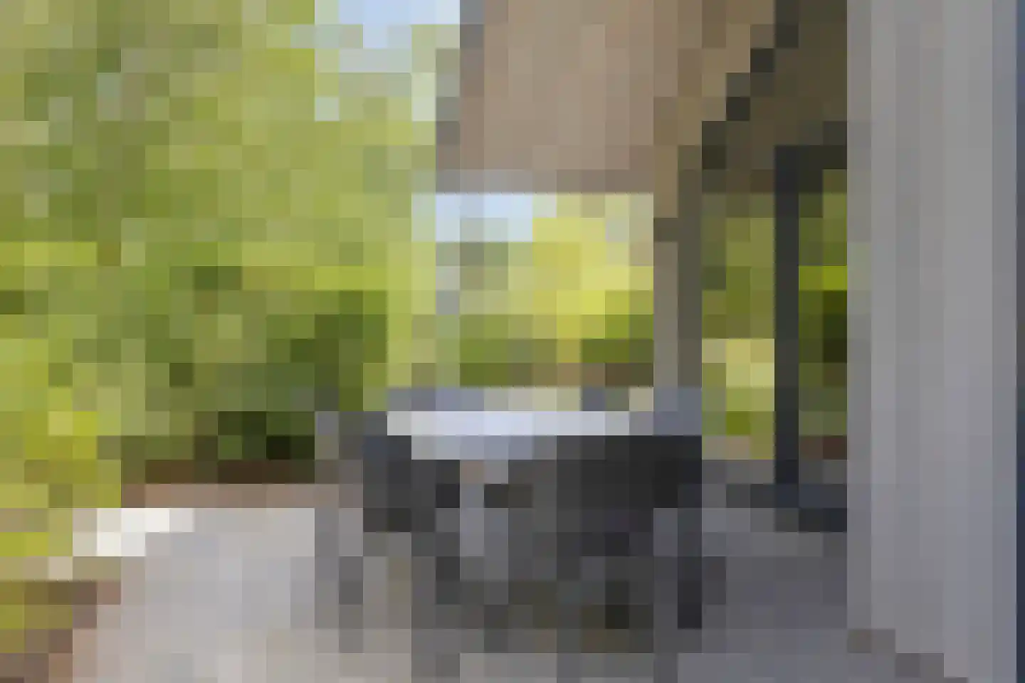 Bloemendaal 7 C 36 Oirschot thumbnail 26