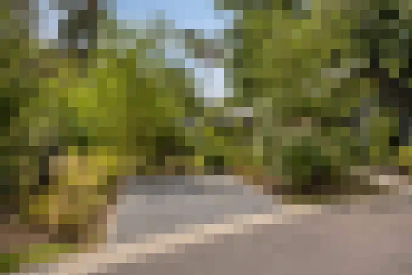 Bloemendaal 7 C 36 Oirschot thumbnail 27