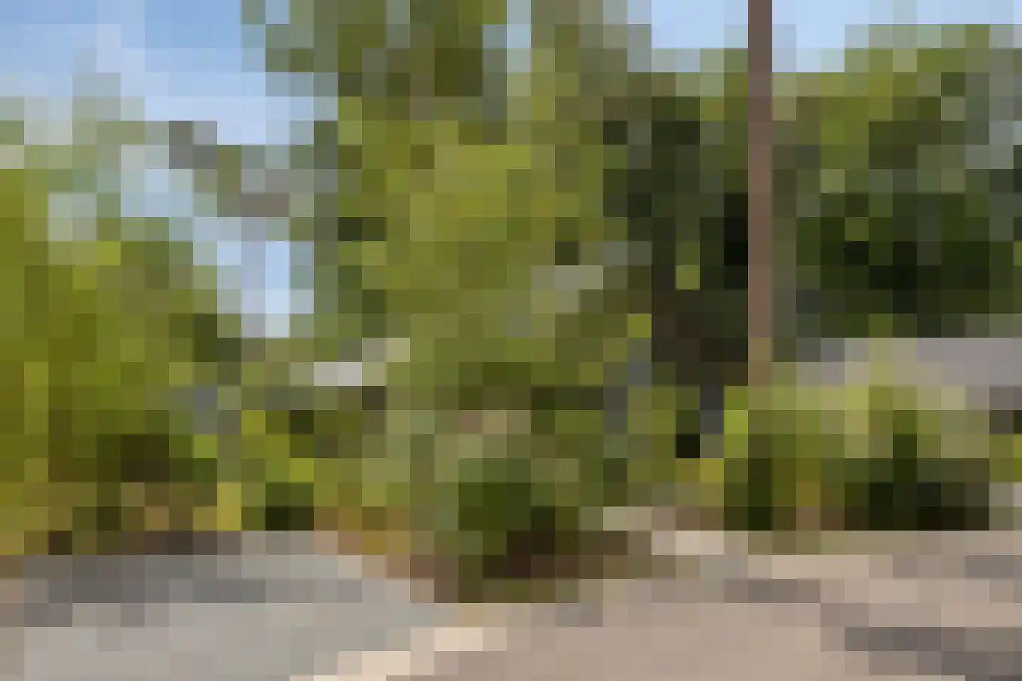 Bloemendaal 7 C 36 Oirschot thumbnail 28