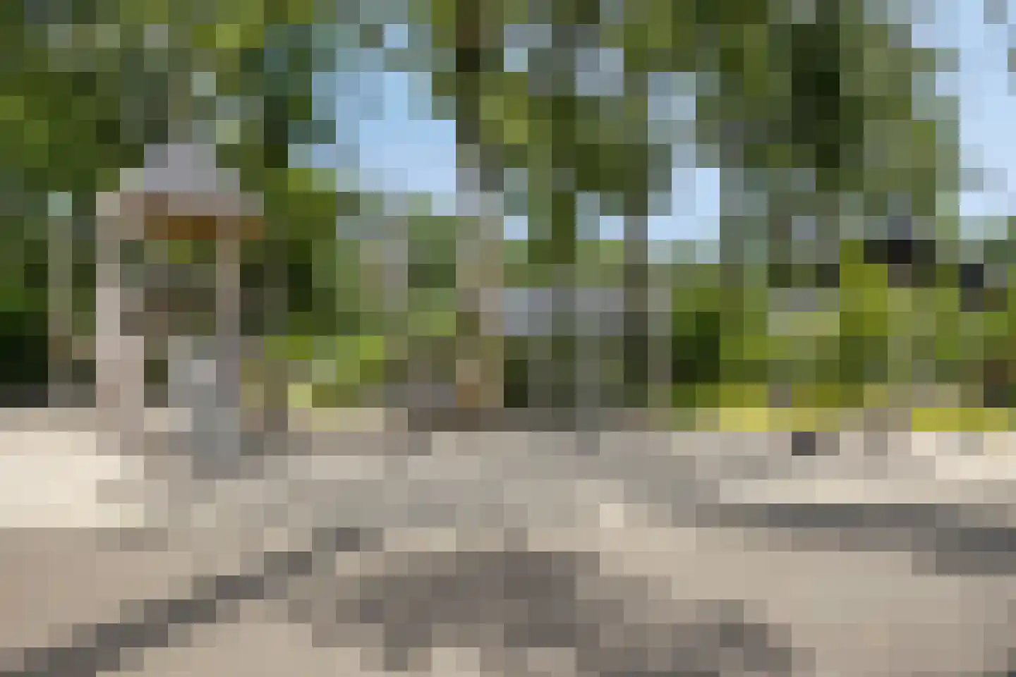 Bloemendaal 7 C 36 Oirschot thumbnail 29