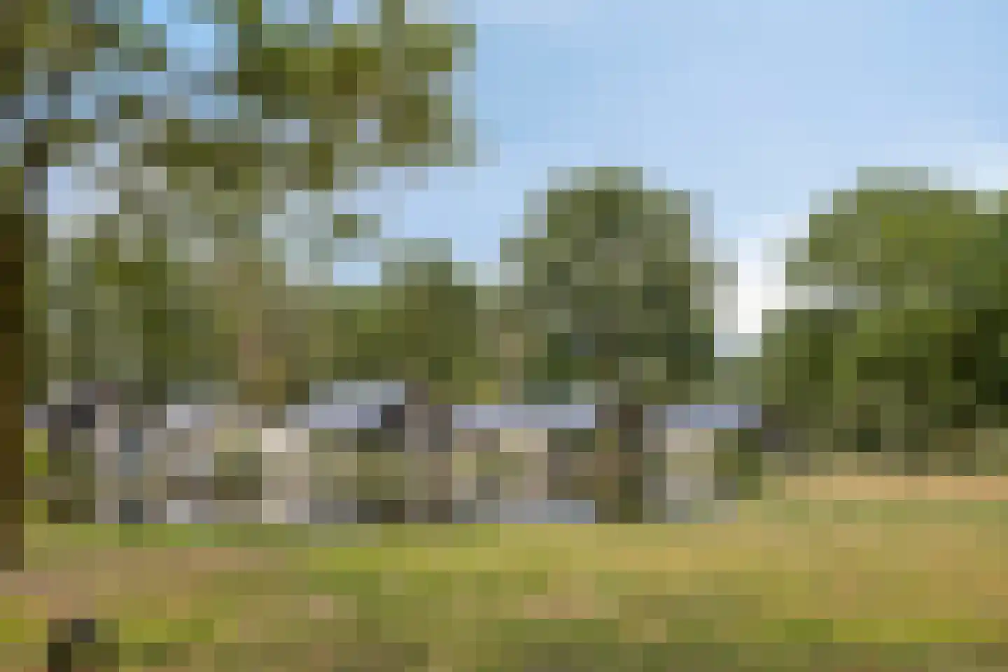 Bloemendaal 7 C 36 Oirschot thumbnail 30