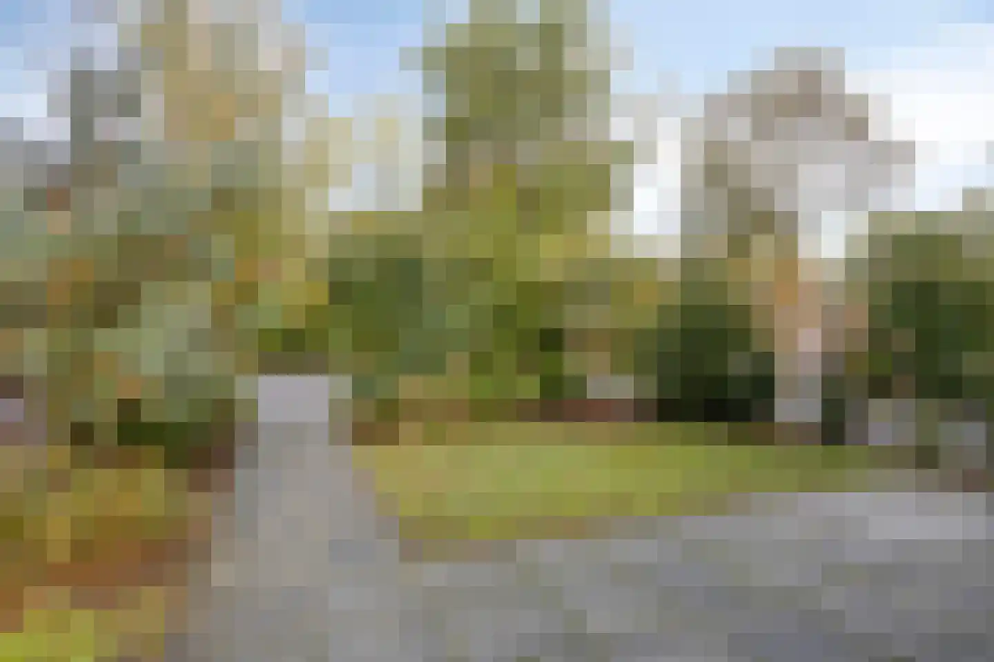 Bloemendaal 7 C 40 Oirschot thumbnail 22