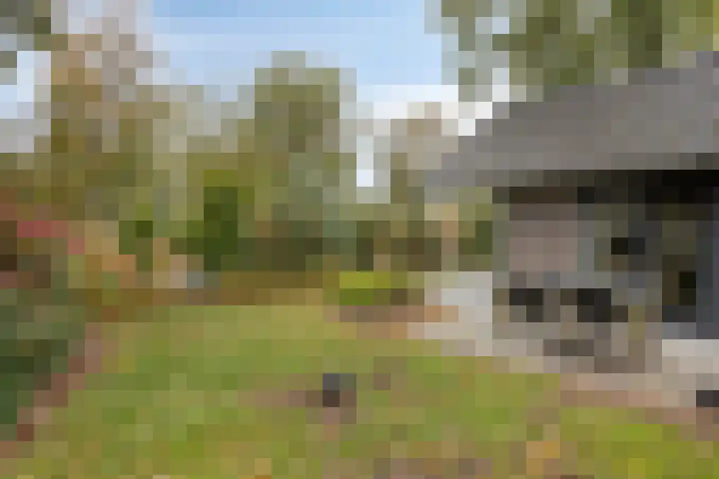 Bloemendaal 7 C 40 Oirschot thumbnail 23