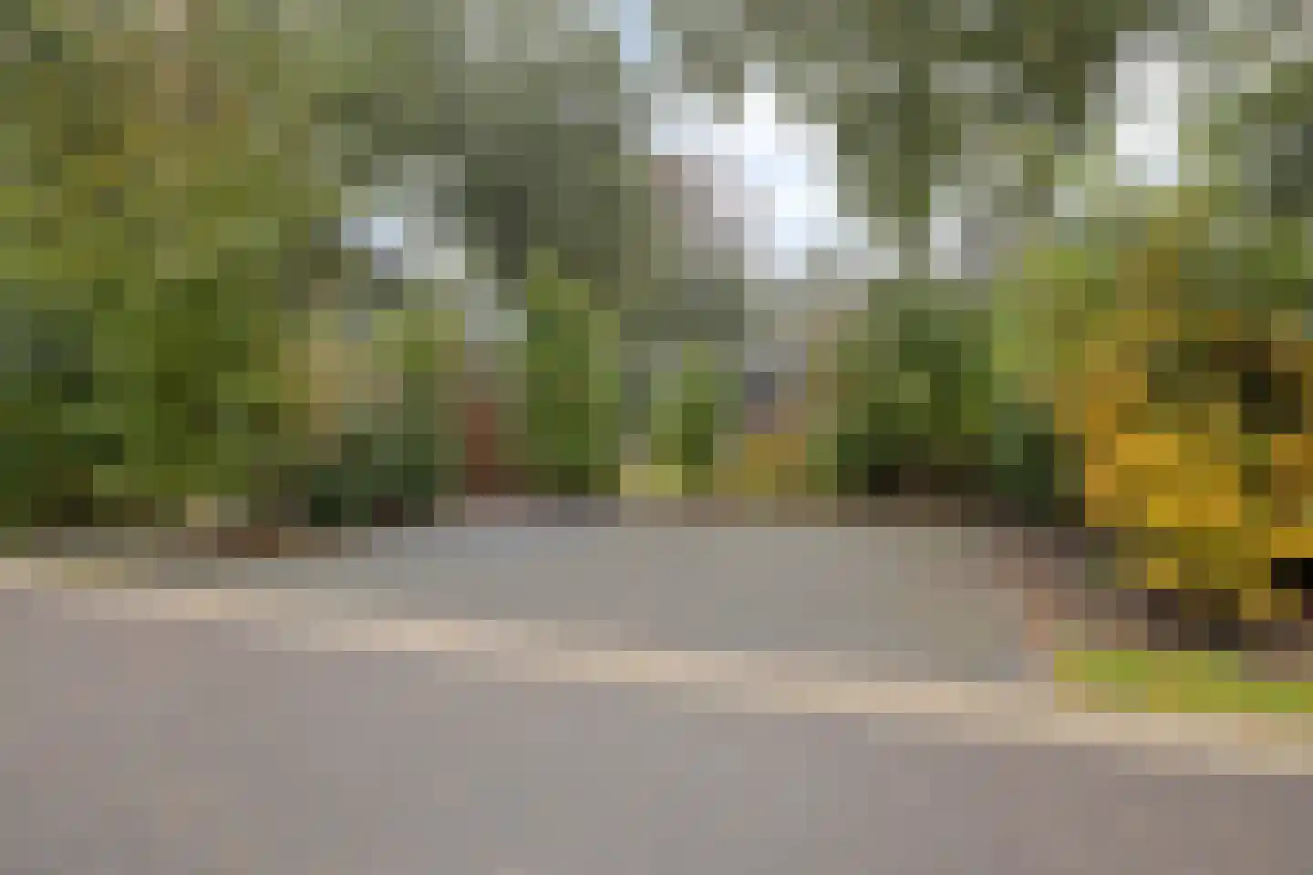 Bloemendaal 7 C 40 Oirschot thumbnail 26
