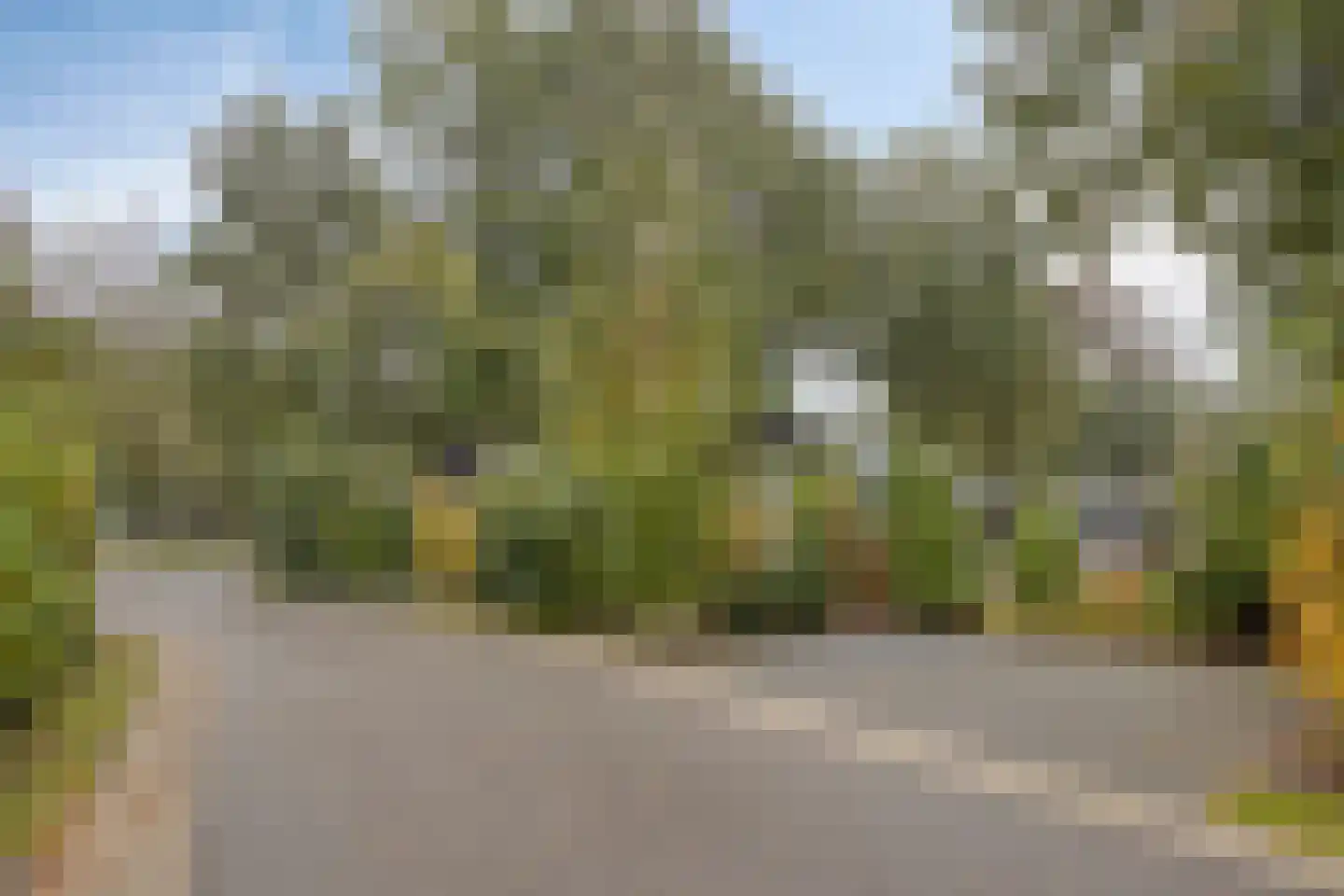 Bloemendaal 7 C 40 Oirschot thumbnail 27