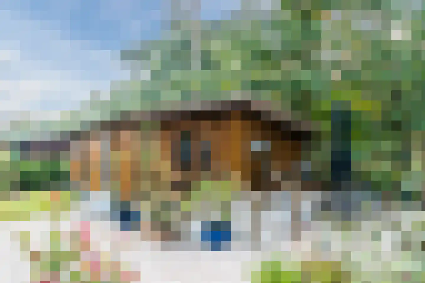 Bloemendaal 7 C12 Oirschot
