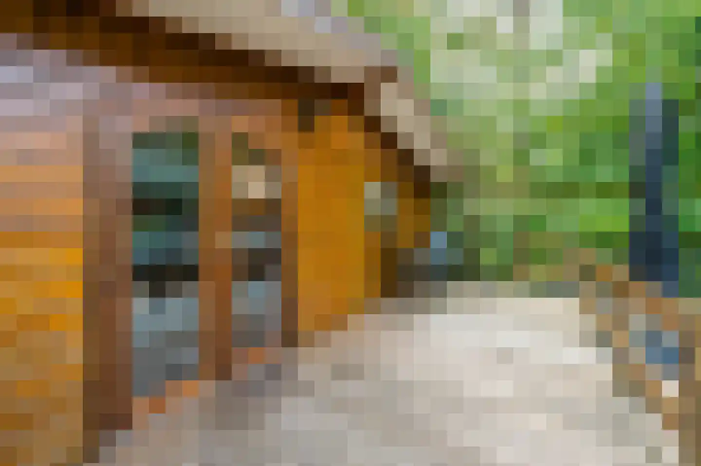 Bloemendaal 7 C12 Oirschot thumbnail 24