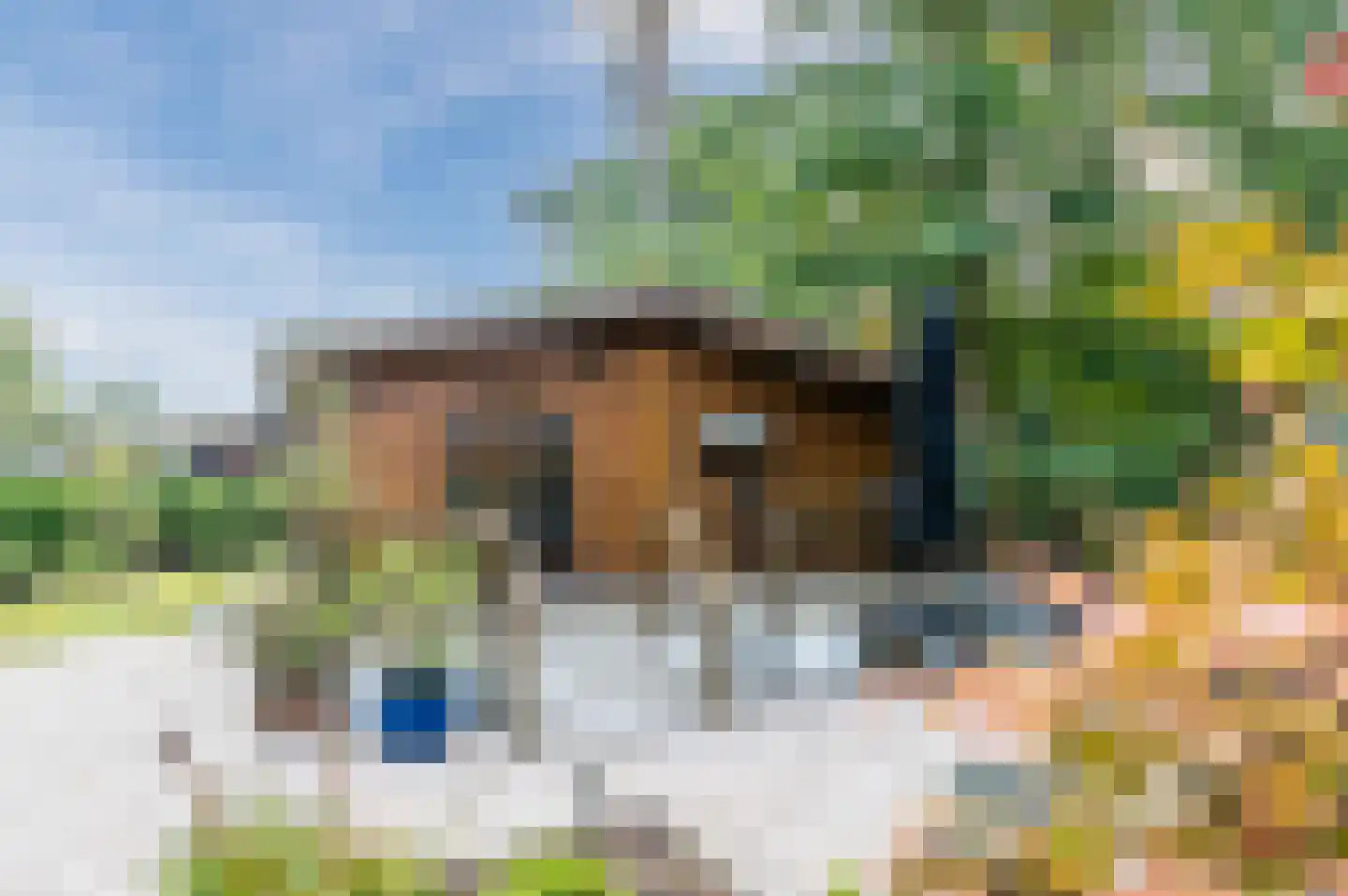Bloemendaal 7 C12 Oirschot thumbnail 25