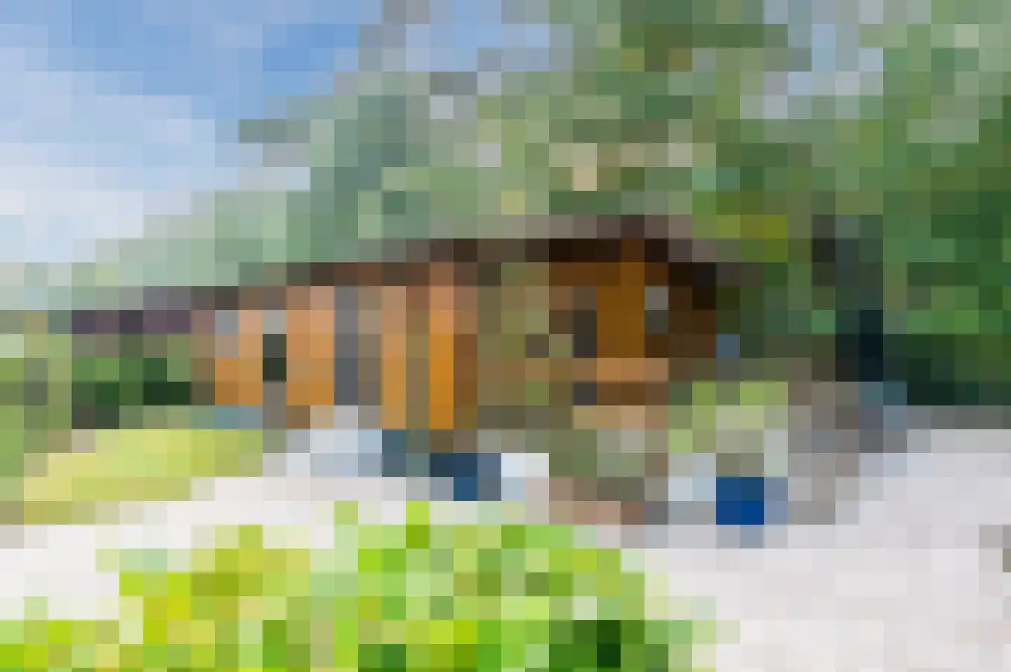 Bloemendaal 7 C12 Oirschot thumbnail 27