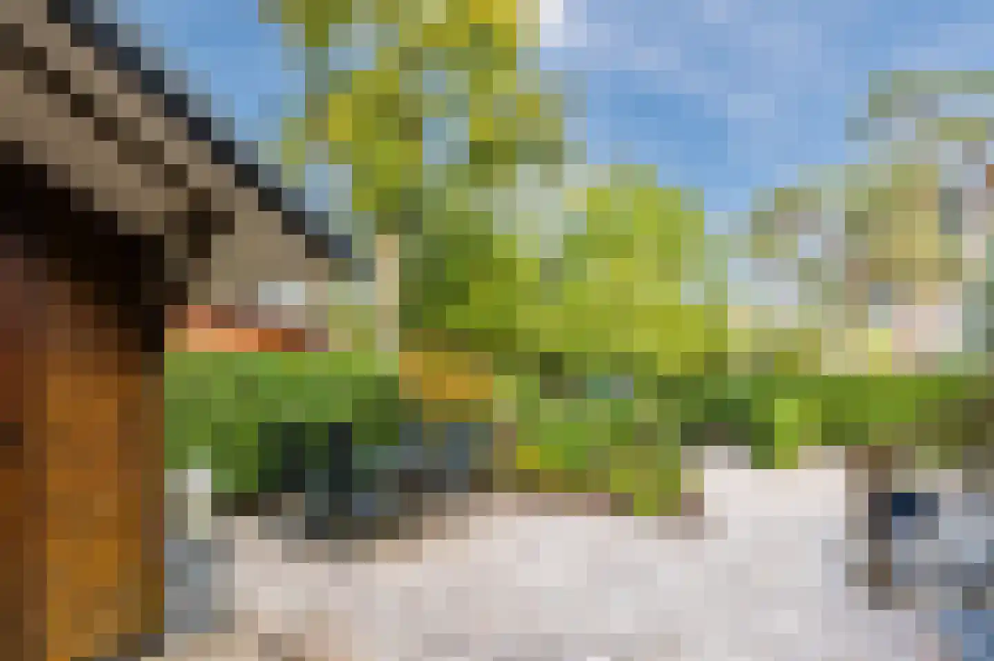 Bloemendaal 7 C12 Oirschot thumbnail 31