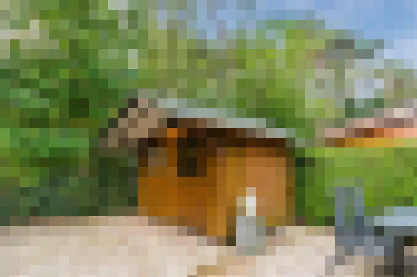 Bloemendaal 7 C12 Oirschot thumbnail 33