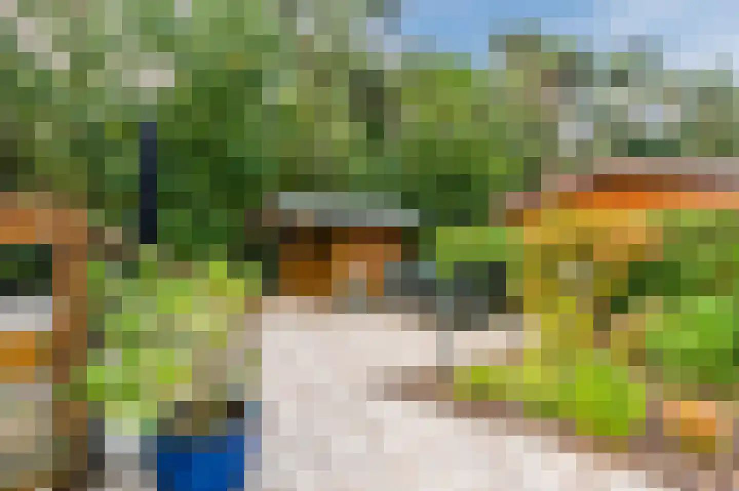Bloemendaal 7 C12 Oirschot thumbnail 34