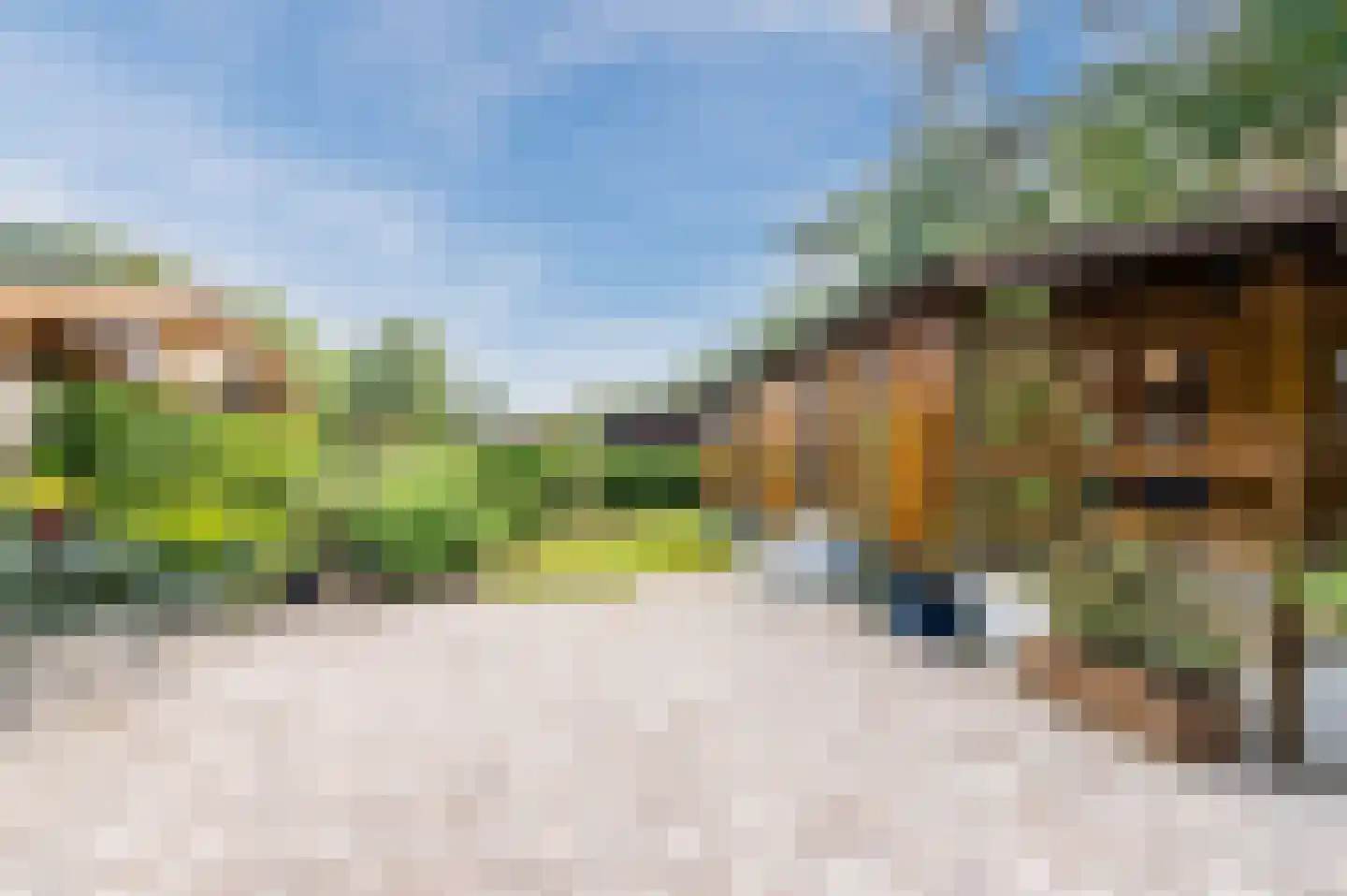 Bloemendaal 7 C12 Oirschot thumbnail 35
