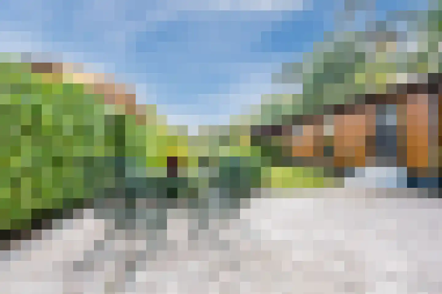 Bloemendaal 7 C12 Oirschot thumbnail 36