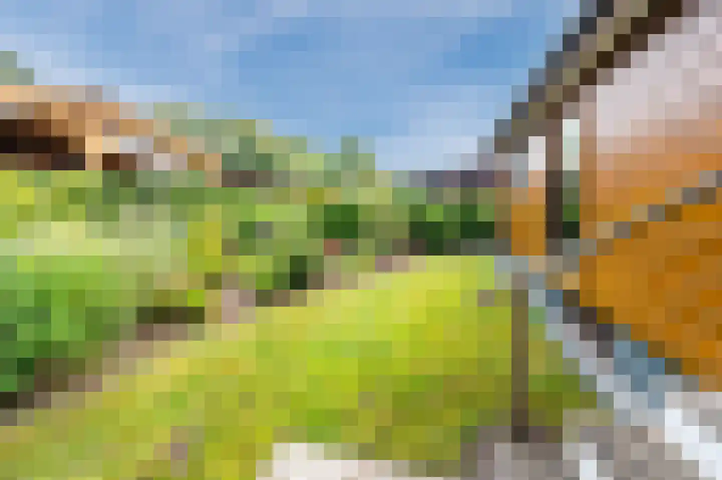 Bloemendaal 7 C12 Oirschot thumbnail 39