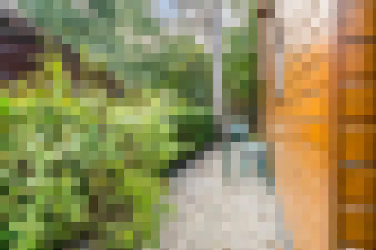 Bloemendaal 7 C12 Oirschot thumbnail 40