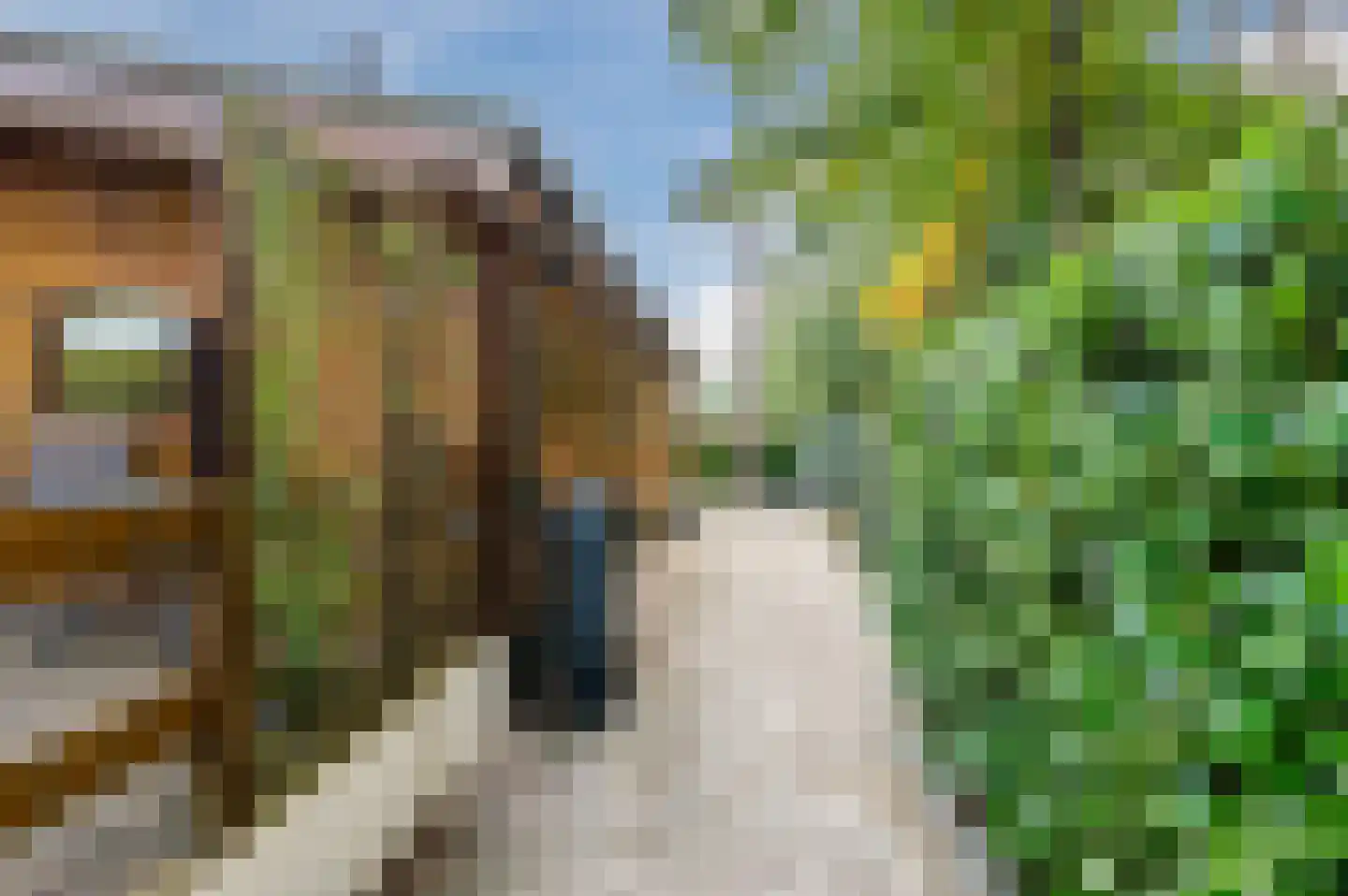 Bloemendaal 7 C12 Oirschot thumbnail 41