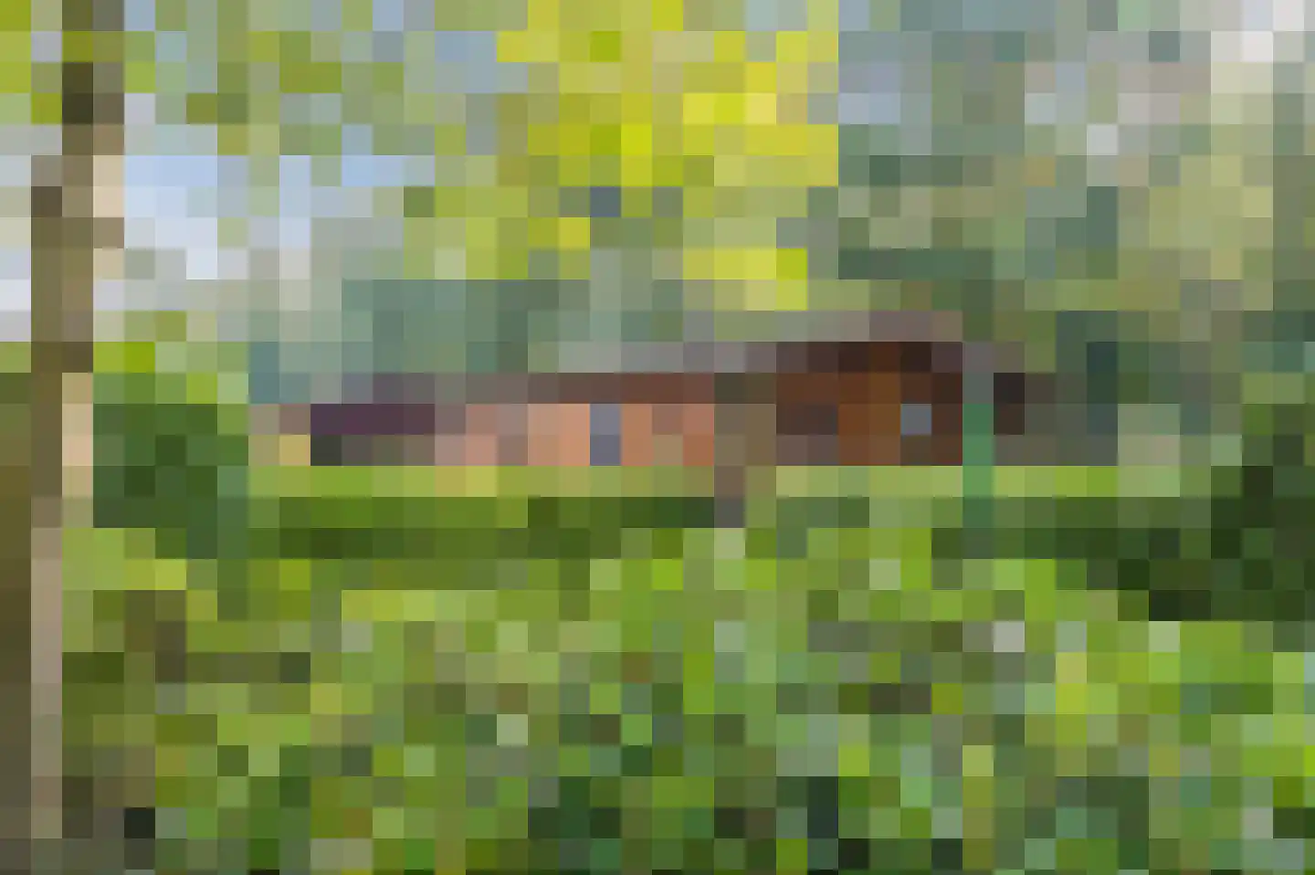 Bloemendaal 7 C12 Oirschot thumbnail 43