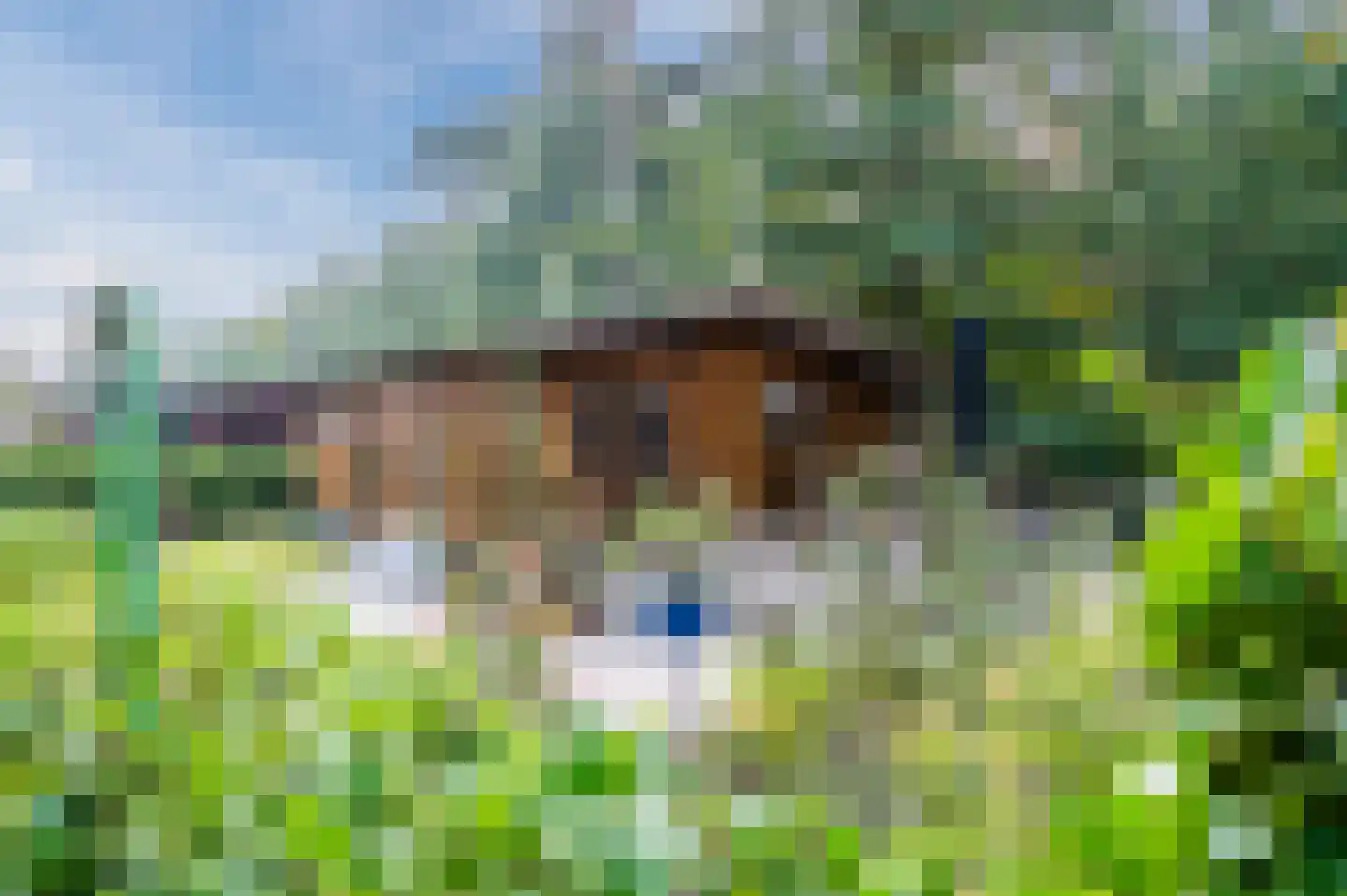 Bloemendaal 7 C12 Oirschot thumbnail 44