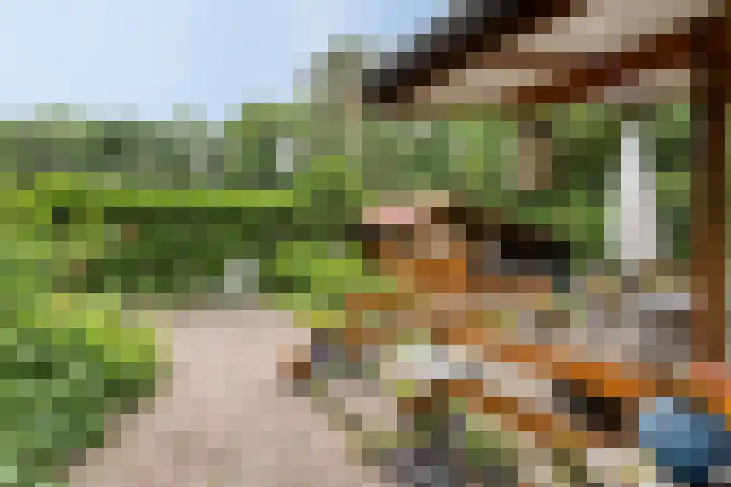 Bloemendaal 7 C23 Oirschot thumbnail 4