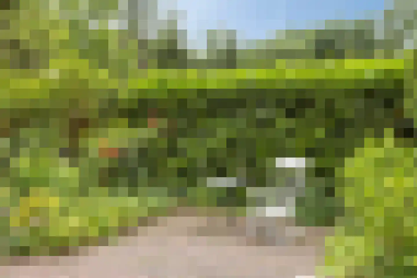 Bloemendaal 7 C23 Oirschot thumbnail 5