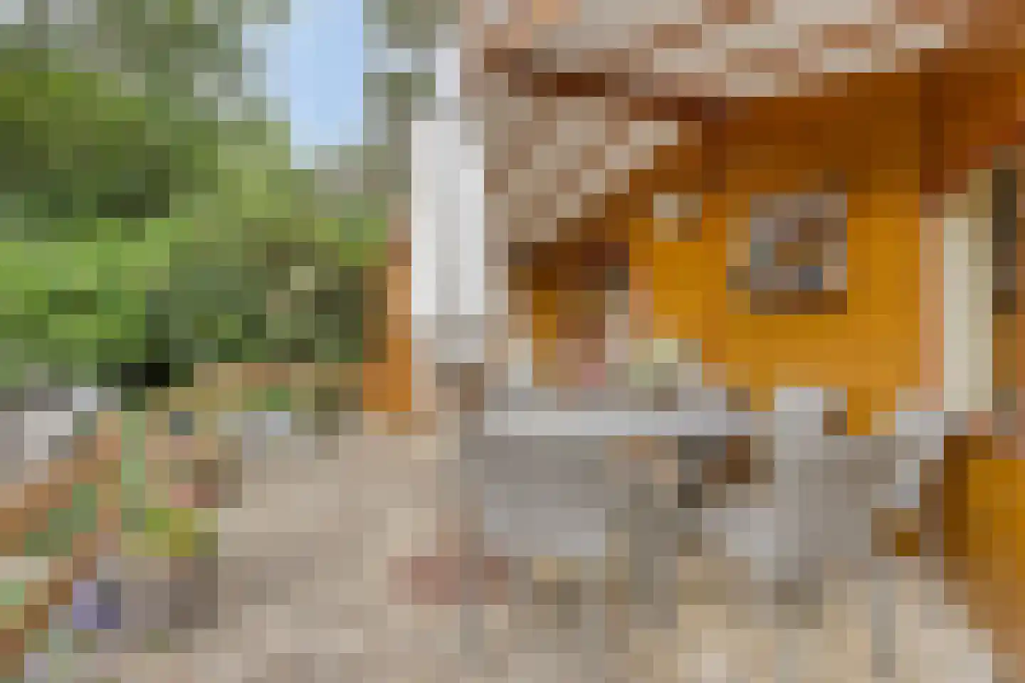 Bloemendaal 7 C23 Oirschot thumbnail 7