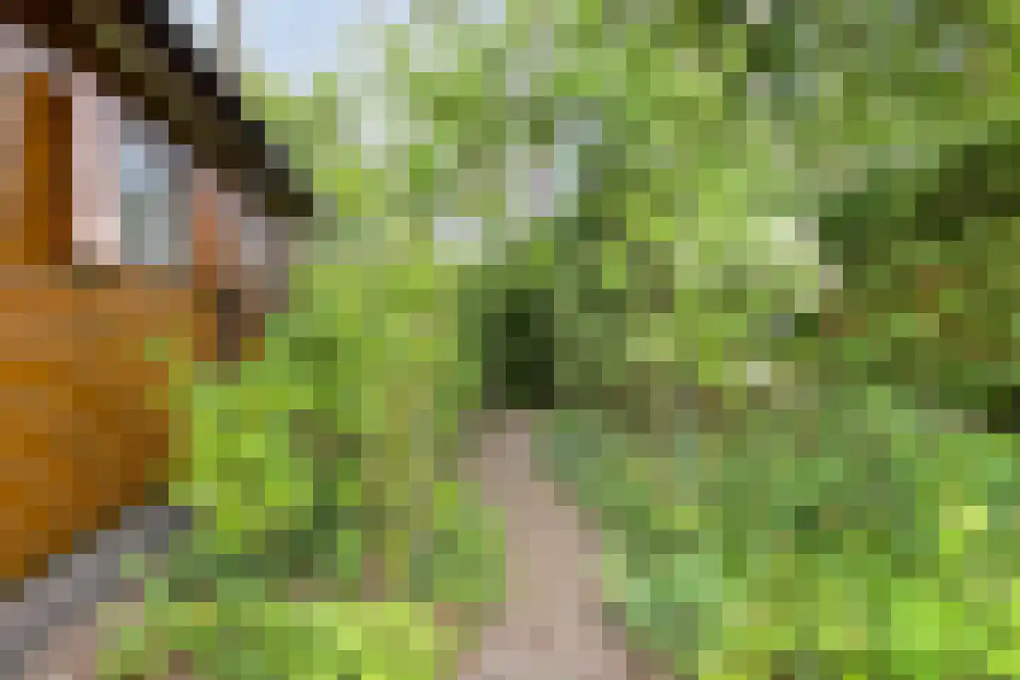 Bloemendaal 7 C23 Oirschot thumbnail 8