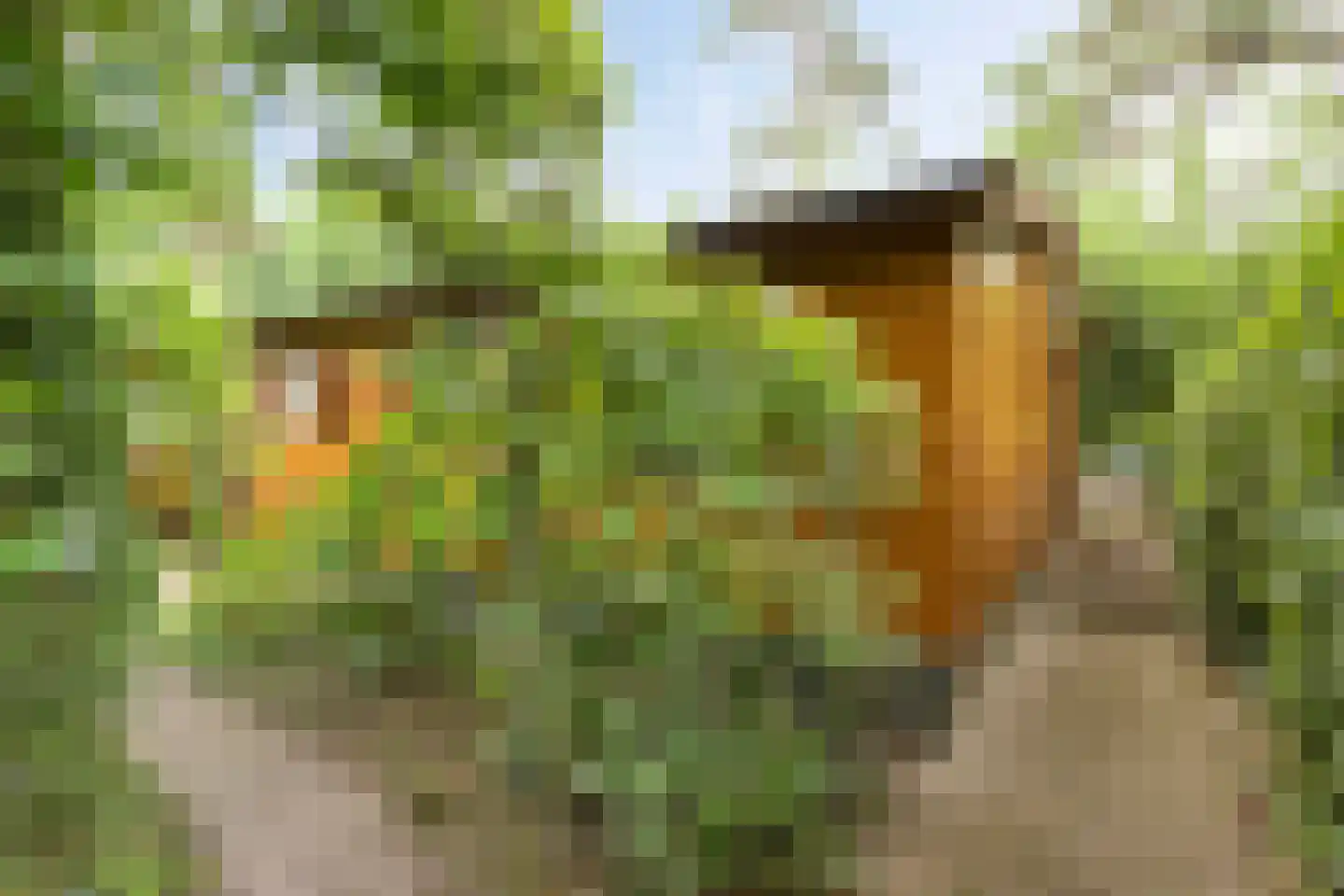 Bloemendaal 7 C23 Oirschot thumbnail 9