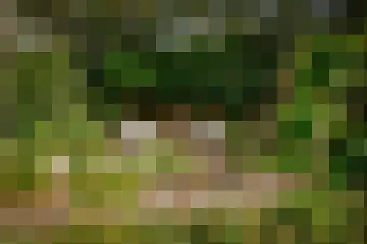 Bloemendaal 9 Zaltbommel thumbnail 35