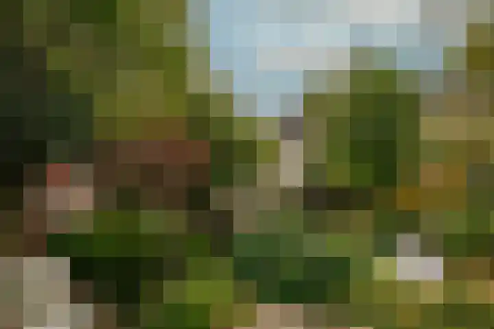 Bloemendaal 9 Zaltbommel thumbnail 36