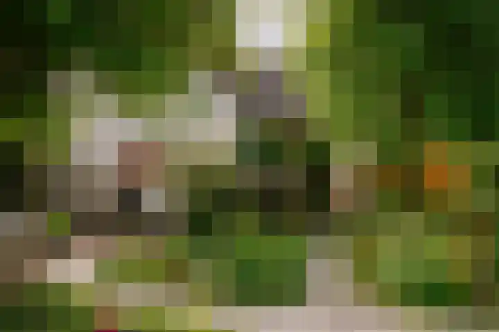 Bloemendaal 9 Zaltbommel thumbnail 37