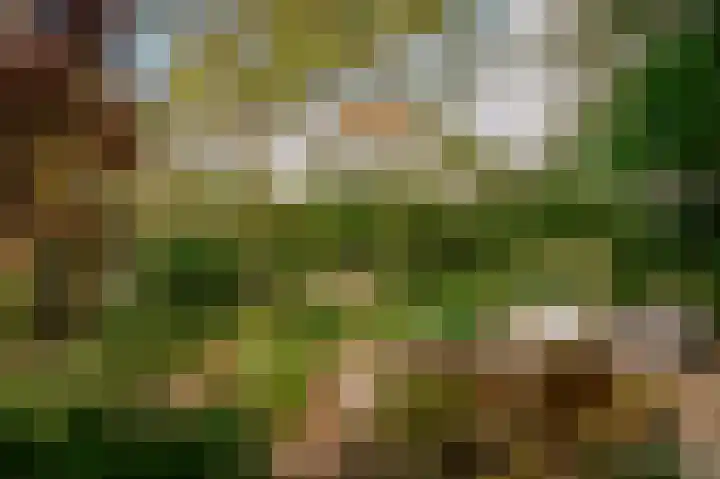 Bloemendaal 9 Zaltbommel thumbnail 38