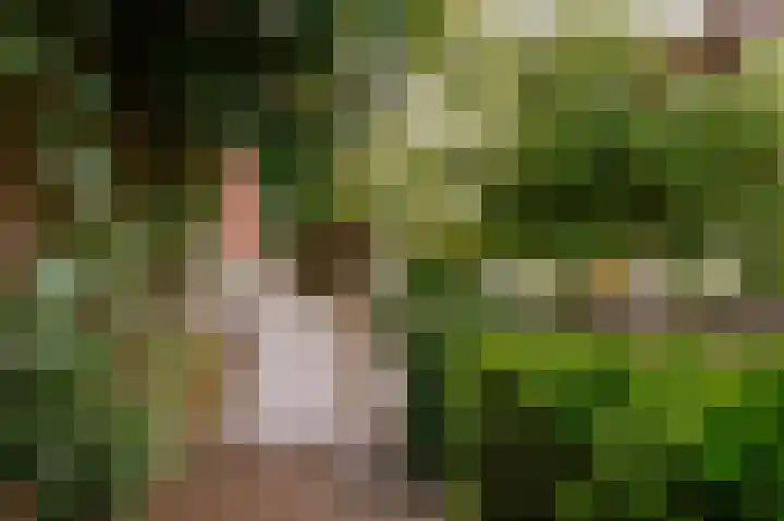Bloemendaal 9 Zaltbommel thumbnail 39