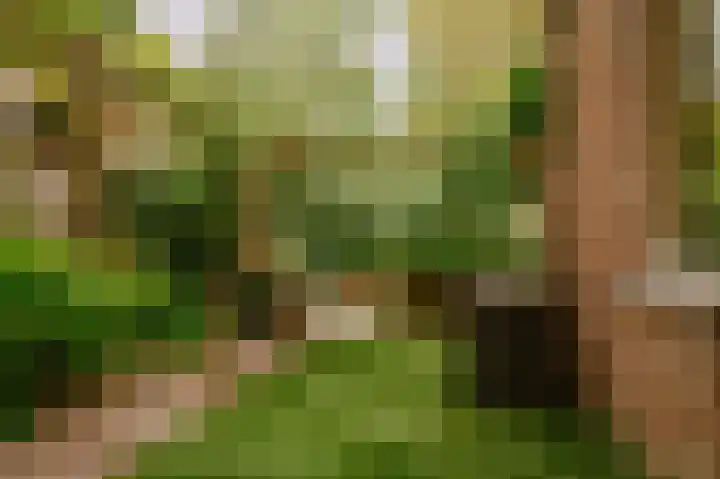 Bloemendaal 9 Zaltbommel thumbnail 41