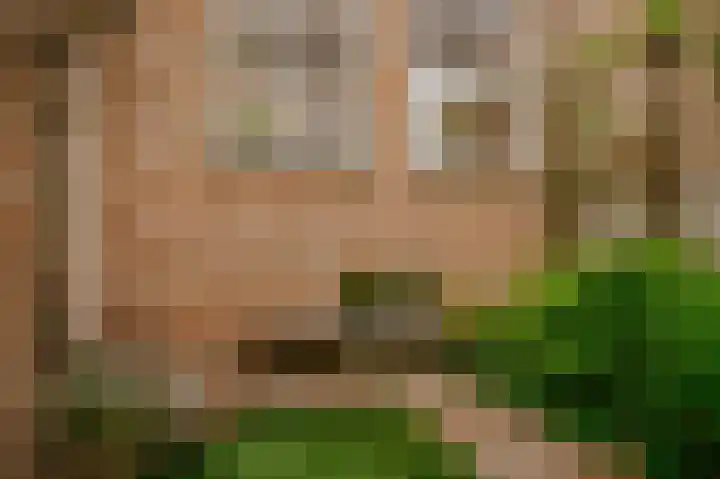Bloemendaal 9 Zaltbommel thumbnail 42