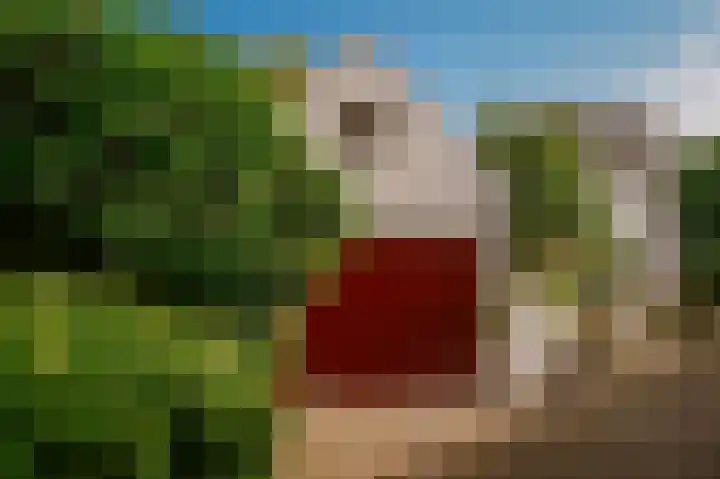 Bloemendaal 9 Zaltbommel thumbnail 45