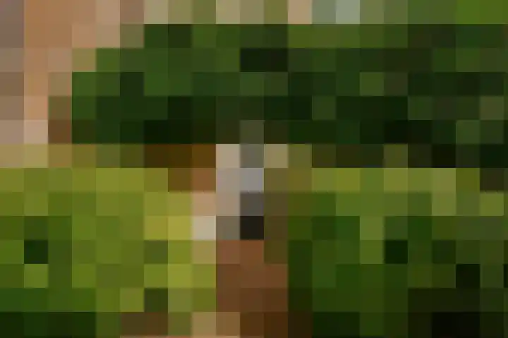 Bloemendaal 9 Zaltbommel thumbnail 5