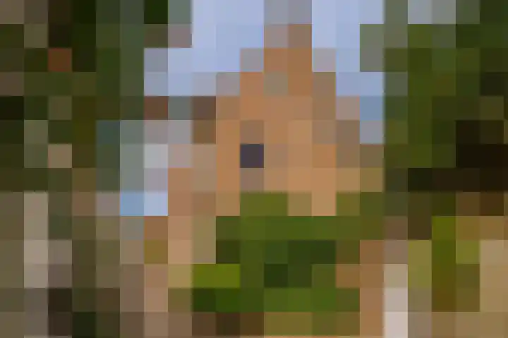 Bloemendaal 9 Zaltbommel thumbnail 58