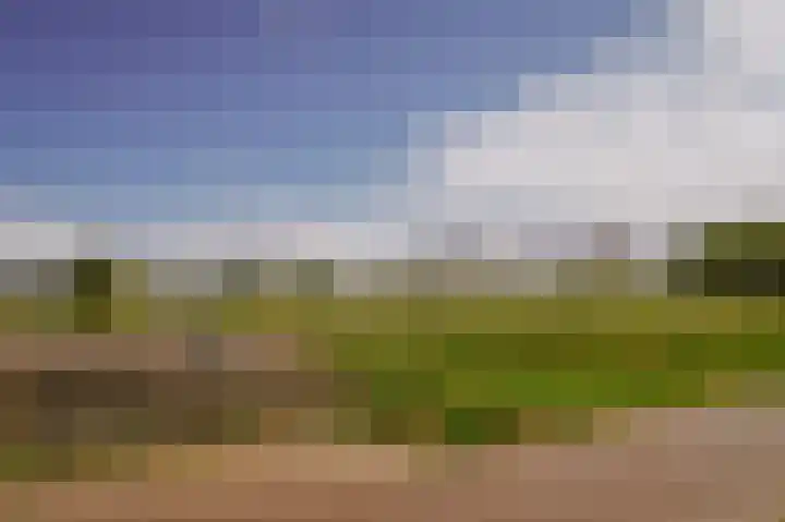 Bloemendaal 9 Zaltbommel thumbnail 61