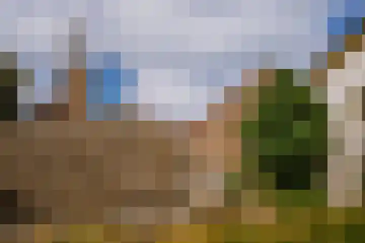 Bloemendaal 9 Zaltbommel thumbnail 62