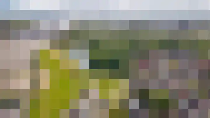 Bloemendaal 9 Zaltbommel thumbnail 67