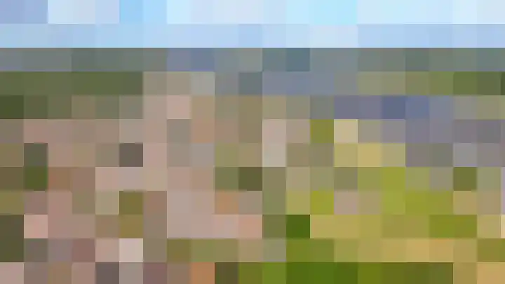 Bloemendaal 9 Zaltbommel thumbnail 68