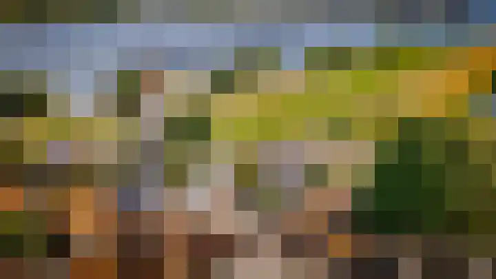Bloemendaal 9 Zaltbommel thumbnail 69