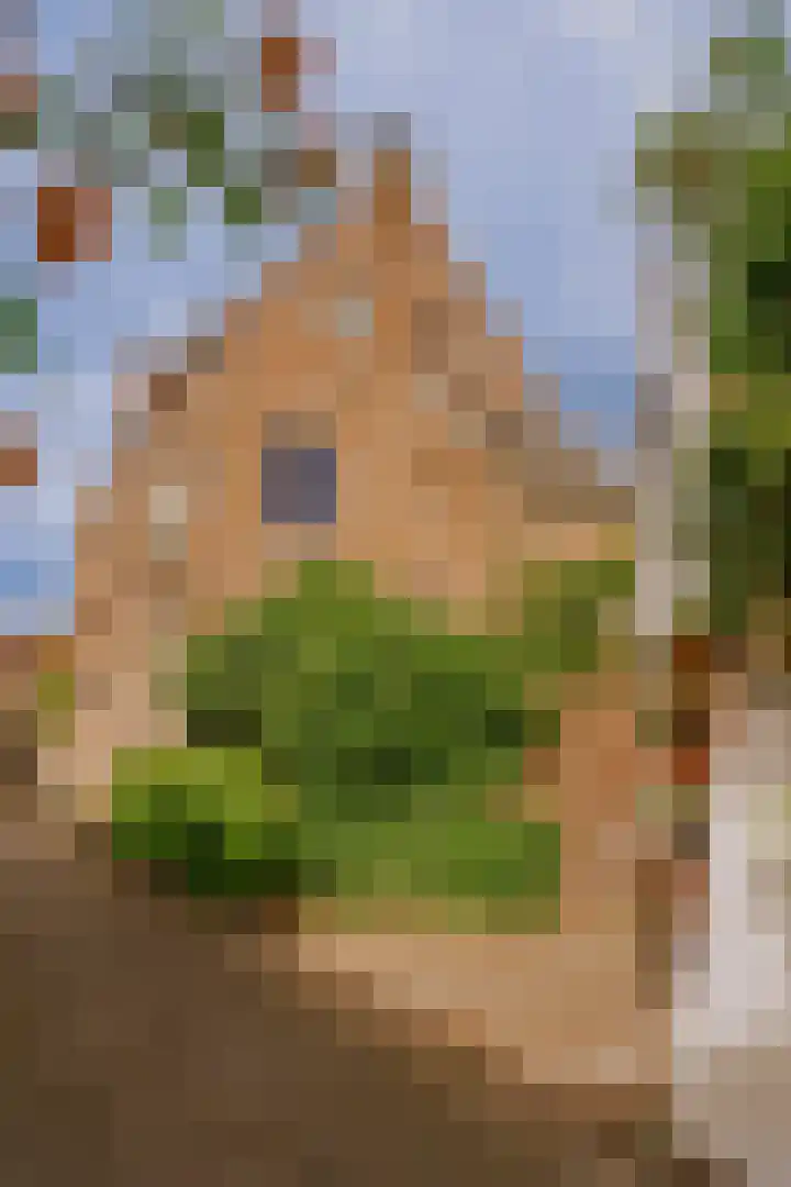 Bloemendaal 9 Zaltbommel thumbnail 71