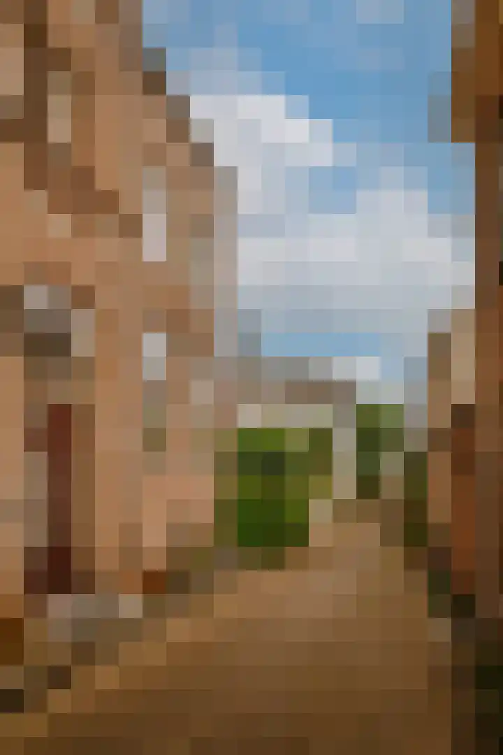 Bloemendaal 9 Zaltbommel thumbnail 72
