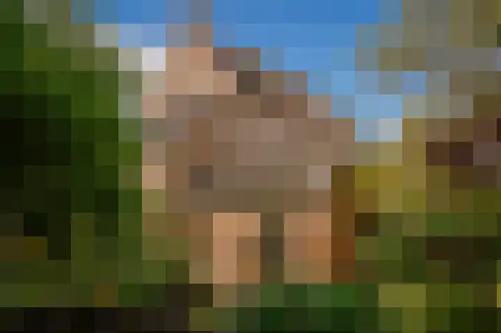 Bloemendaal 9 Zaltbommel thumbnail 82