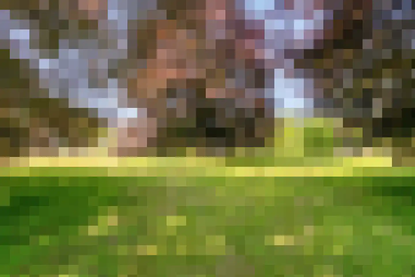Bloemendaallaan 62 01 Barneveld thumbnail 34